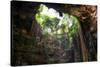 ¡Viva Mexico! Collection - Ik-Kil Cenote-Philippe Hugonnard-Stretched Canvas