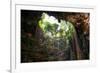 ¡Viva Mexico! Collection - Ik-Kil Cenote-Philippe Hugonnard-Framed Photographic Print