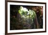 ¡Viva Mexico! Collection - Ik-Kil Cenote-Philippe Hugonnard-Framed Photographic Print