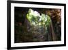 ¡Viva Mexico! Collection - Ik-Kil Cenote-Philippe Hugonnard-Framed Photographic Print