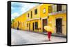 ¡Viva Mexico! Collection - Izamal the Yellow City VIII-Philippe Hugonnard-Framed Stretched Canvas