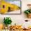 ¡Viva Mexico! Collection - Izamal the Yellow City XI-Philippe Hugonnard-Framed Stretched Canvas displayed on a wall