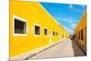 ¡Viva Mexico! Collection - Izamal the Yellow City-Philippe Hugonnard-Mounted Photographic Print