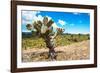 ¡Viva Mexico! Collection - Joshua Trees-Philippe Hugonnard-Framed Photographic Print