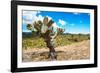 ¡Viva Mexico! Collection - Joshua Trees-Philippe Hugonnard-Framed Photographic Print