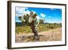 ¡Viva Mexico! Collection - Joshua Trees-Philippe Hugonnard-Framed Photographic Print