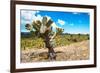 ¡Viva Mexico! Collection - Joshua Trees-Philippe Hugonnard-Framed Photographic Print