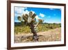 ¡Viva Mexico! Collection - Joshua Trees-Philippe Hugonnard-Framed Photographic Print