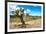 ¡Viva Mexico! Collection - Joshua Trees-Philippe Hugonnard-Framed Photographic Print