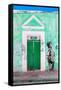 ¡Viva Mexico! Collection - Main entrance Door Closed VI-Philippe Hugonnard-Framed Stretched Canvas