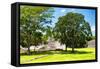 ¡Viva Mexico! Collection - Maya Archaeological Site - Edzna Campeche-Philippe Hugonnard-Framed Stretched Canvas