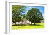 ¡Viva Mexico! Collection - Maya Archaeological Site - Edzna Campeche-Philippe Hugonnard-Framed Photographic Print