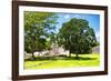 ¡Viva Mexico! Collection - Maya Archaeological Site - Edzna Campeche-Philippe Hugonnard-Framed Photographic Print