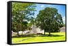 ¡Viva Mexico! Collection - Maya Archaeological Site - Edzna Campeche-Philippe Hugonnard-Framed Stretched Canvas