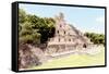 ¡Viva Mexico! Collection - Maya Archaeological Site VII - Edzna Campeche-Philippe Hugonnard-Framed Stretched Canvas