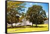 ¡Viva Mexico! Collection - Maya Archaeological Site with Fall Colors - Edzna Campeche-Philippe Hugonnard-Framed Stretched Canvas