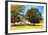 ¡Viva Mexico! Collection - Maya Archaeological Site with Fall Colors - Edzna Campeche-Philippe Hugonnard-Framed Photographic Print