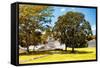 ¡Viva Mexico! Collection - Maya Archaeological Site with Fall Colors - Edzna Campeche-Philippe Hugonnard-Framed Stretched Canvas