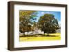¡Viva Mexico! Collection - Maya Archaeological Site with Fall Colors - Edzna Campeche-Philippe Hugonnard-Framed Photographic Print