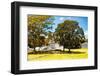 ¡Viva Mexico! Collection - Maya Archaeological Site with Fall Colors - Edzna Campeche-Philippe Hugonnard-Framed Photographic Print