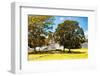 ¡Viva Mexico! Collection - Maya Archaeological Site with Fall Colors - Edzna Campeche-Philippe Hugonnard-Framed Photographic Print