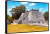 ¡Viva Mexico! Collection - Maya Archaeological Site with Fall Colors II - Edzna Campeche-Philippe Hugonnard-Framed Stretched Canvas