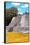 ¡Viva Mexico! Collection - Maya Archaeological Site with Fall Colors III - Edzna Campeche-Philippe Hugonnard-Framed Stretched Canvas