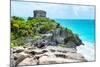 ¡Viva Mexico! Collection - Mayan Archaeological Site with Iguana II - Tulum-Philippe Hugonnard-Mounted Photographic Print