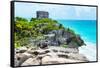 ¡Viva Mexico! Collection - Mayan Archaeological Site with Iguana II - Tulum-Philippe Hugonnard-Framed Stretched Canvas