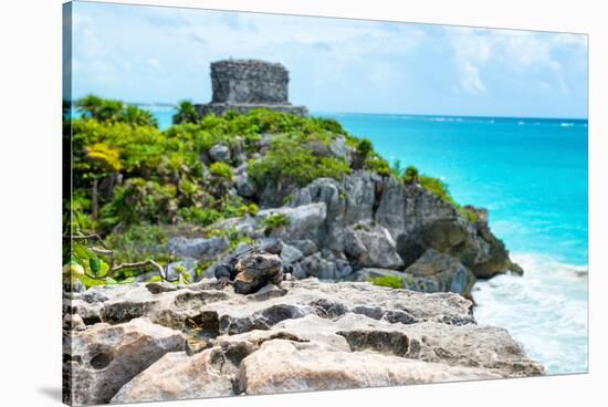 ¡Viva Mexico! Collection - Mayan Archaeological Site with Iguana II - Tulum-Philippe Hugonnard-Stretched Canvas