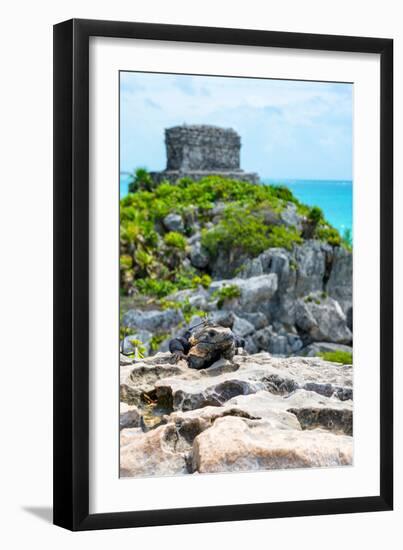 ¡Viva Mexico! Collection - Mayan Archaeological Site with Iguana III - Tulum-Philippe Hugonnard-Framed Photographic Print