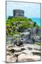 ¡Viva Mexico! Collection - Mayan Archaeological Site with Iguana III - Tulum-Philippe Hugonnard-Mounted Photographic Print