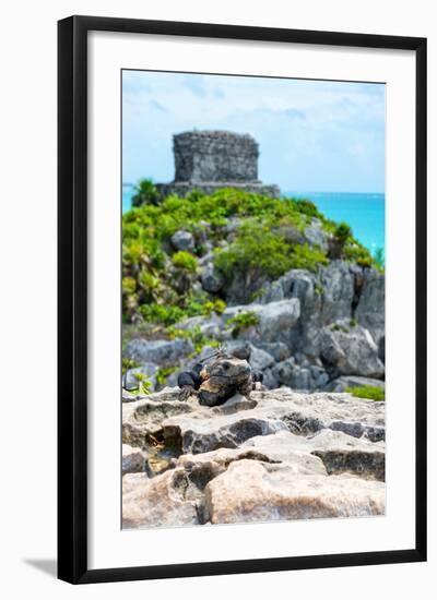 ¡Viva Mexico! Collection - Mayan Archaeological Site with Iguana III - Tulum-Philippe Hugonnard-Framed Photographic Print