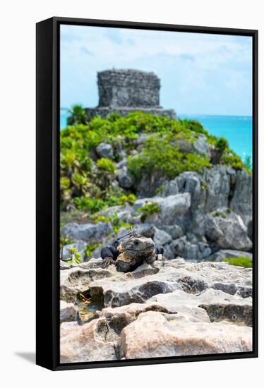 ¡Viva Mexico! Collection - Mayan Archaeological Site with Iguana III - Tulum-Philippe Hugonnard-Framed Stretched Canvas