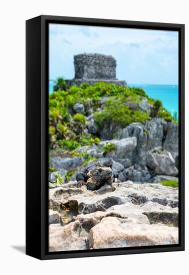 ¡Viva Mexico! Collection - Mayan Archaeological Site with Iguana III - Tulum-Philippe Hugonnard-Framed Stretched Canvas