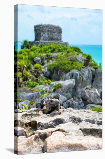 ¡Viva Mexico! Collection - Mayan Archaeological Site with Iguana III - Tulum-Philippe Hugonnard-Stretched Canvas