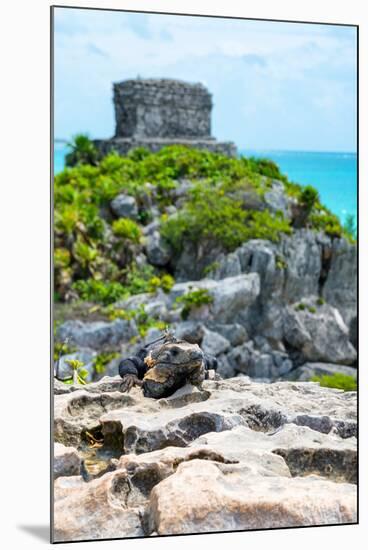 ¡Viva Mexico! Collection - Mayan Archaeological Site with Iguana III - Tulum-Philippe Hugonnard-Mounted Photographic Print