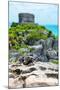 ¡Viva Mexico! Collection - Mayan Archaeological Site with Iguana III - Tulum-Philippe Hugonnard-Mounted Photographic Print