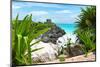 ¡Viva Mexico! Collection - Mayan Archaeological Site with Iguana - Tulum-Philippe Hugonnard-Mounted Photographic Print