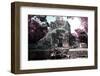 ¡Viva Mexico! Collection - Mayan Ruins - Campeche II-Philippe Hugonnard-Framed Photographic Print