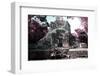 ¡Viva Mexico! Collection - Mayan Ruins - Campeche II-Philippe Hugonnard-Framed Photographic Print