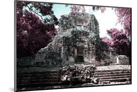 ¡Viva Mexico! Collection - Mayan Ruins - Campeche II-Philippe Hugonnard-Mounted Photographic Print