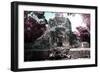 ¡Viva Mexico! Collection - Mayan Ruins - Campeche II-Philippe Hugonnard-Framed Photographic Print