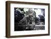 ¡Viva Mexico! Collection - Mayan Ruins - Campeche III-Philippe Hugonnard-Framed Photographic Print