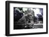 ¡Viva Mexico! Collection - Mayan Ruins - Campeche III-Philippe Hugonnard-Framed Photographic Print