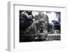 ¡Viva Mexico! Collection - Mayan Ruins - Campeche III-Philippe Hugonnard-Framed Photographic Print