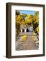 ¡Viva Mexico! Collection - Mayan Ruins in the Forest II-Philippe Hugonnard-Framed Photographic Print