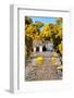¡Viva Mexico! Collection - Mayan Ruins in the Forest II-Philippe Hugonnard-Framed Photographic Print