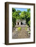 ¡Viva Mexico! Collection - Mayan Ruins in the Forest-Philippe Hugonnard-Framed Photographic Print