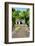 ¡Viva Mexico! Collection - Mayan Ruins in the Forest-Philippe Hugonnard-Framed Photographic Print